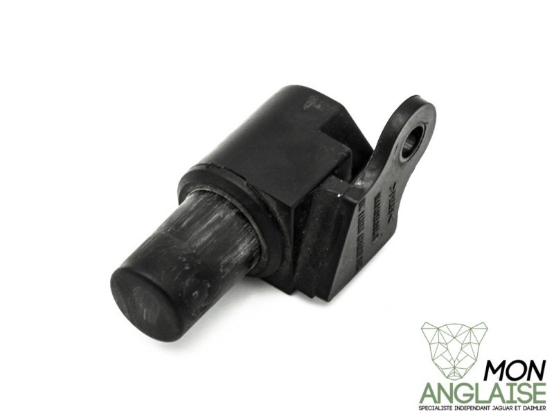 Actuateur d'ouverture de coffre gauche Jaguar X-Type 2001-2009 | C2S46396