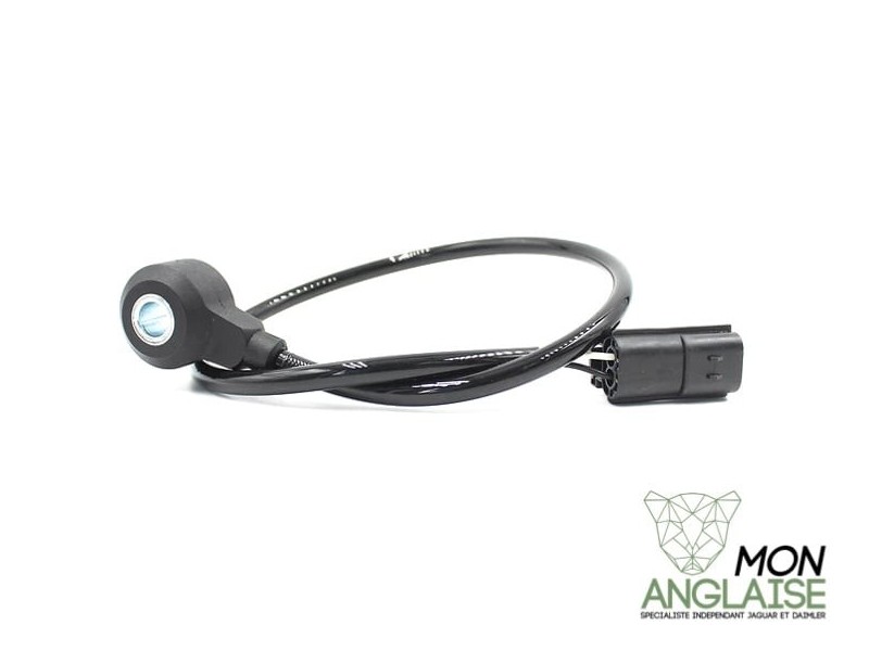 Capteur de cliquetis Jaguar X-Type 2001-2009 | AJ85676