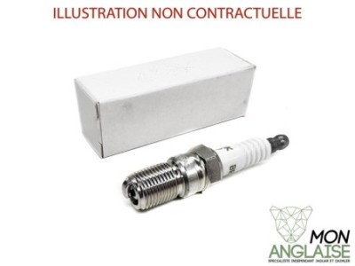 Bougie d'allumage Jaguar XJ40 1993-1994 | EBC4021