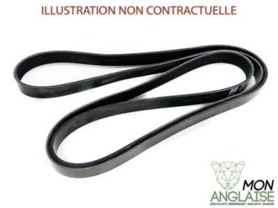 Courroie d'accessoires Jaguar XK8 1996-2006 | NCA2211DA