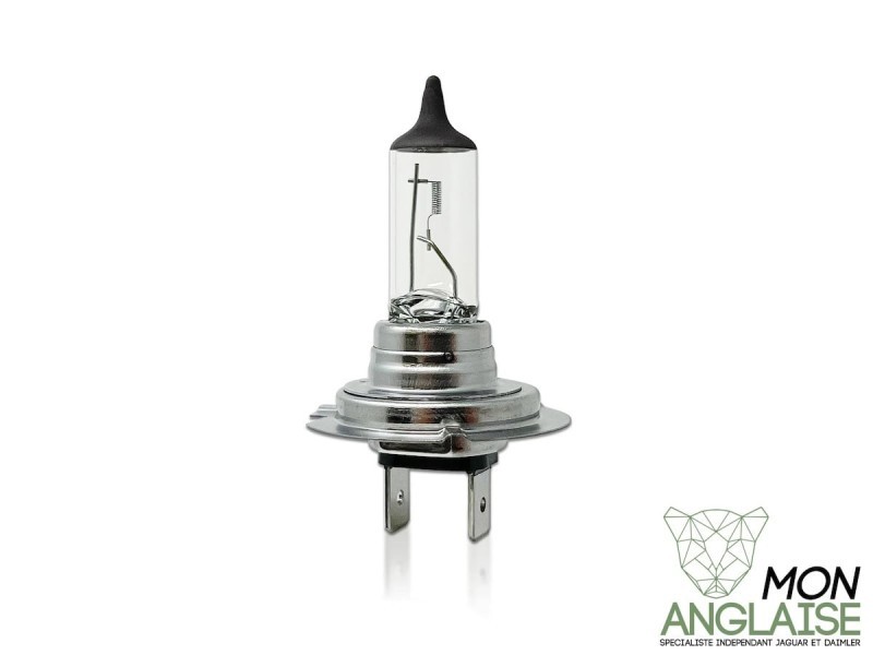 Ampoule halogène H7 55W Jaguar XJ X350 2003-2009 | XR812421