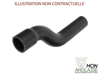 Durite supérieur de radiateur droite Jaguar XJ40 1993-1994 | CCC2800