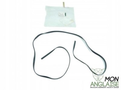 Joint d'étanchéité de glace arrière Jaguar XJ X350 2003-2005 | C2C18590