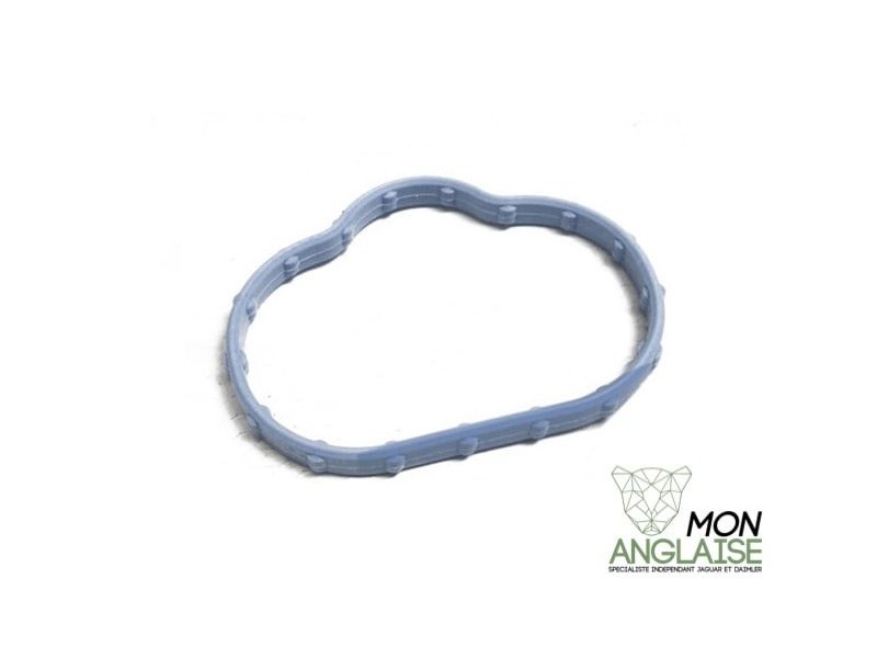 Joint de collecteur d'admission inférieur Jaguar X-Type 2001-2009 | C2S12588