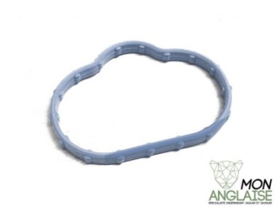 Joint de collecteur d'admission inférieur Jaguar X-Type 2001-2009 | C2S12588