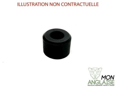 Joint de queue de soupape d'admission Jaguar X300 1995-1997 | EBC3531