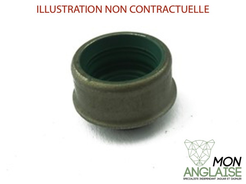 Joint de queue soupape Jaguar X300 1995-1997 | EBC3956