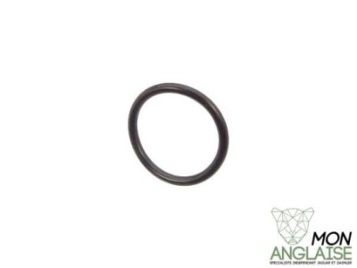 Joint torique de piston de tendeur de chaine Jaguar X300 1995-1997 | EAC4540