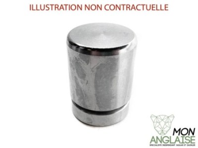 Piston d'étrier arrière 34mm Jaguar XJ40 1987-1989 | JLM794