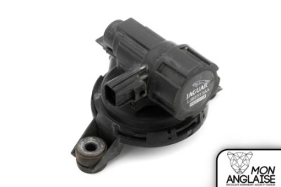 Soupape de contrôle de purge Jaguar XK8 1996-2006 | LJB1515AB