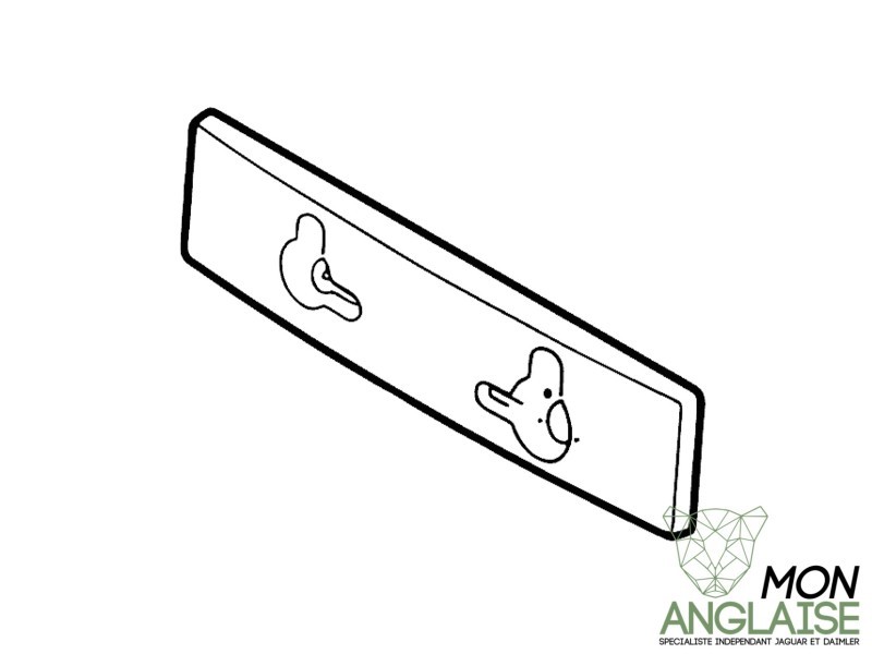 Support de plaque d'immatriculation Jaguar XK8 1996-2004 | HJA6458BB