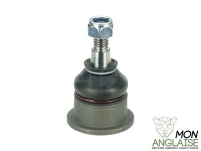 Rotule supérieure avant Jaguar XJ8 1998-2002 | JLM21380