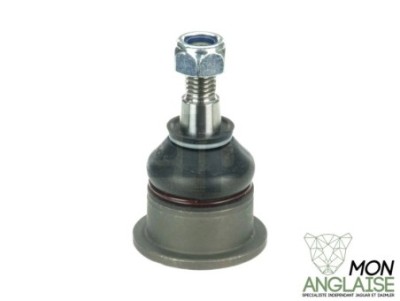 Rotule supérieure avant Jaguar XK8 1997-2006 | JLM21380