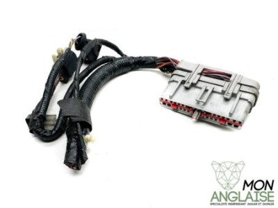 Broche module ABS Jaguar X300 de 1995 à 1997 Référence OE : BROABS300