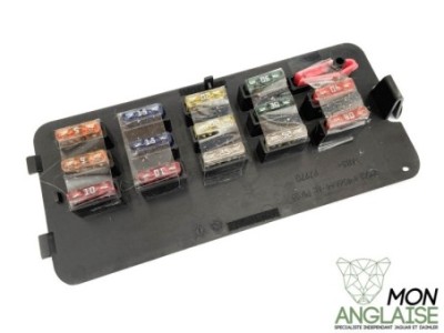 Trappe de rangement de coffre avec porte fusible Jaguar XJ X350 de 2003 à 2009 Référence OE : C2C254072
