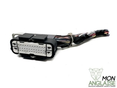 Broche module ABS Jaguar XF de 2008 à 2009 Référence OE : BROABSXF1