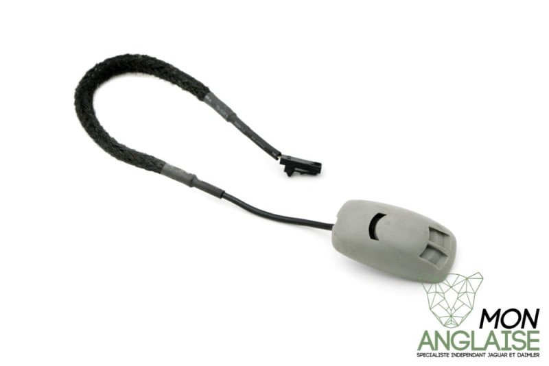 Microphone gris nimbus Jaguar S-Type 2003-2008 | C2C29785LFJ