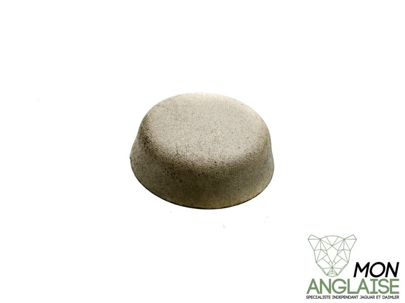 Capuchon de finition de boulon de ceinture beige Jaguar X300 1995-1997 | BCC9037AGD