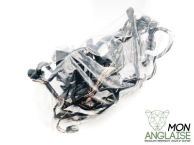 Faisceau moteur AJ27 4.0L Jaguar XJ8 1999-2002 | AJ84940