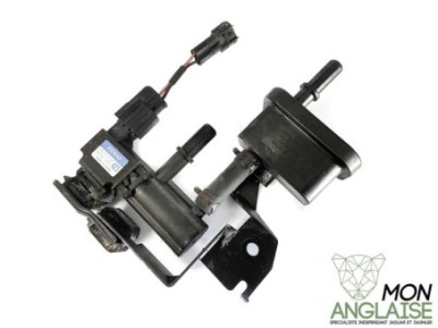 Soupape de purge Jaguar XJ X350 2003-2005 | C2C21972