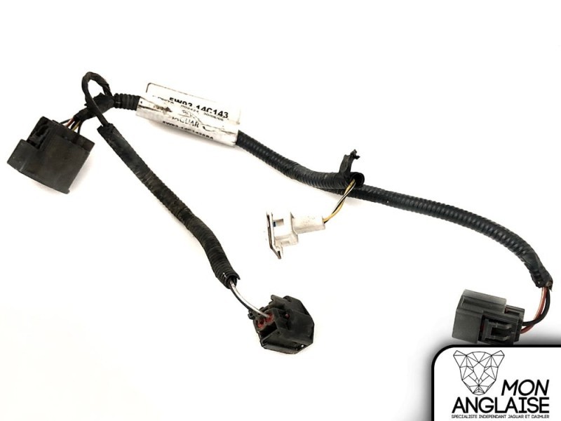 Câble de connexion de lave-glace et lave-phare Jaguar XJ X350 2006-2009 | C2C22822
