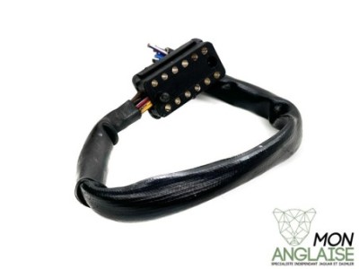 Broche module ABS Jaguar XJ40 1986-1989 | BROCHEABS40