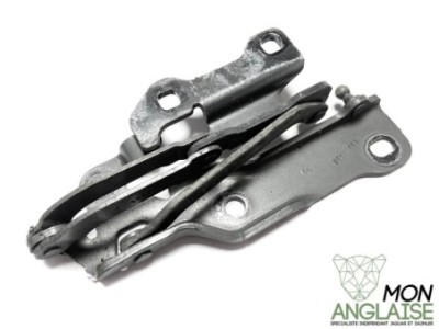 Charnière de capot droite Jaguar XJ X350 2003-2009 | C2C36084