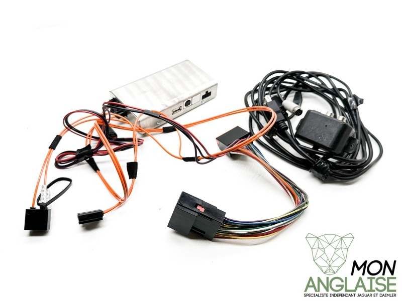 Module de connectivité audio Jaguar S-Type 2003-2008 | C2C40513