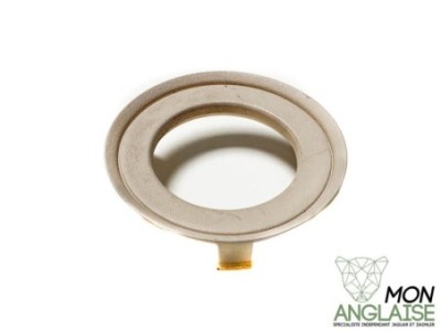 Entourage de neiman sable clair Jaguar XJ X350 2003-2009 | C2C4143ADX