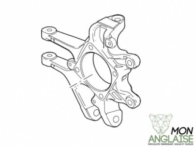 Porte moyeu arrière droite Jaguar XK 2006-2009 | C2P11646