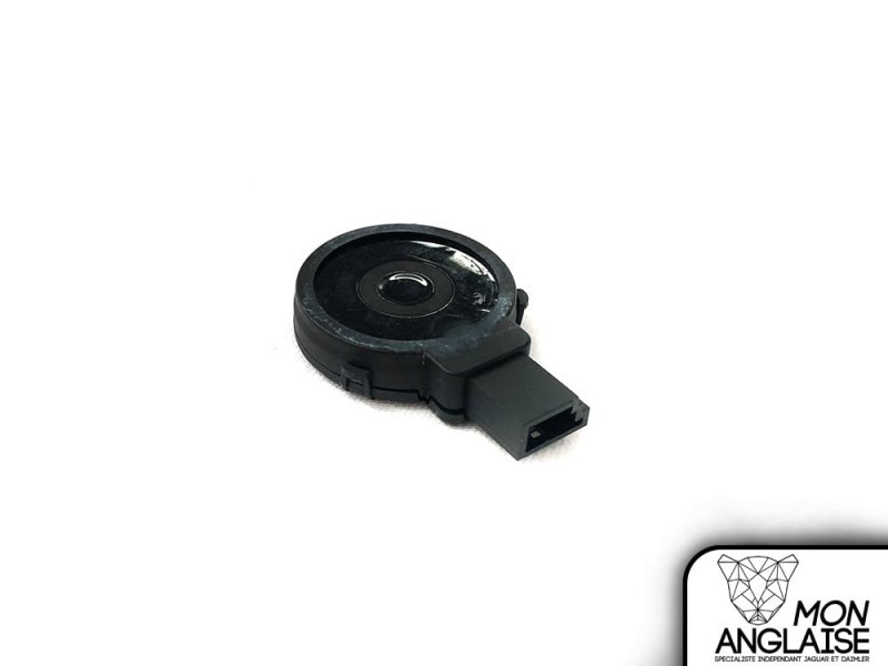Capteur de pluie Jaguar X-Type 2001-2009 | C2S12594