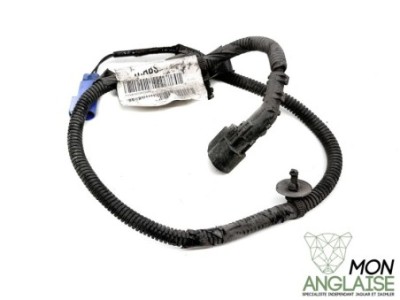 Faisceau de capteur ABS arrière Jaguar X-Type 2001-2009 | C2S44321