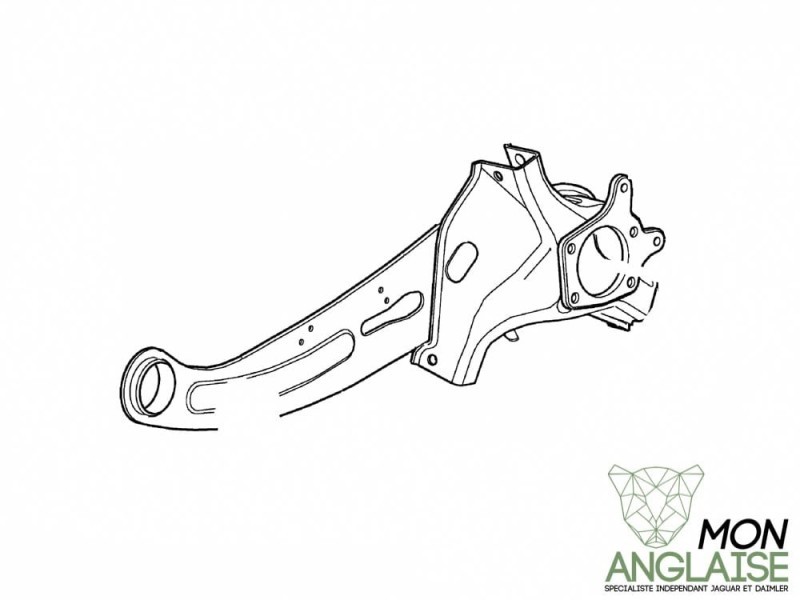 Porte moyeu arrière gauche Jaguar X-Type 2001-2009 | C2S49748