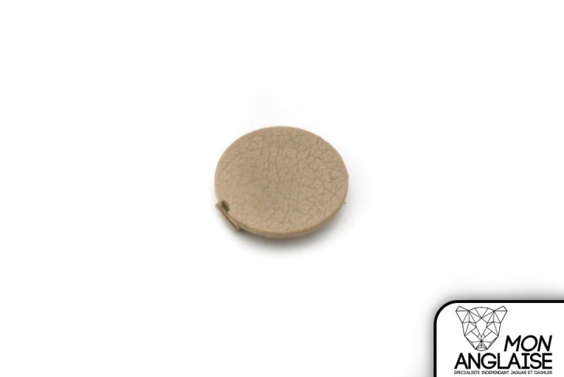 Capuchon de vis de panneau de porte champagne Jaguar X-Type 2003-2009 | C2S5556SEL