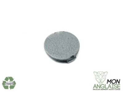 Capuchon de vis de panneau de porte perle Jaguar X-Type 2001-2009 | C2S5556LHJ