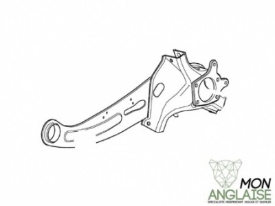 Porte moyeu arrière gauche Jaguar X-Type 2001-2009 | C2S49747