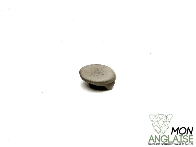 Cache de vis accoudoir beige Jaguar X300 1995-1997 | CACHACCAGD