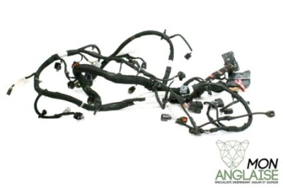 Faisceau moteur 3.0L D Jaguar New XJ 2010-2012 | C2Z26007