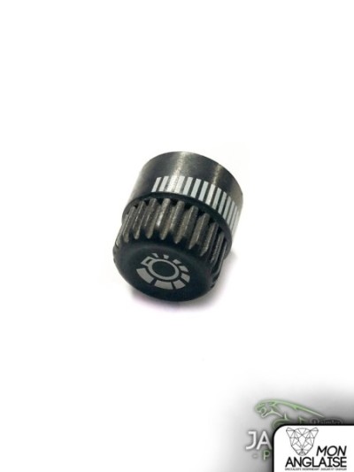 Bouton de commande d'atténuateur de tableau de bord Jaguar XJ40 de 1986 à 1994 Référence OE : DBC2650