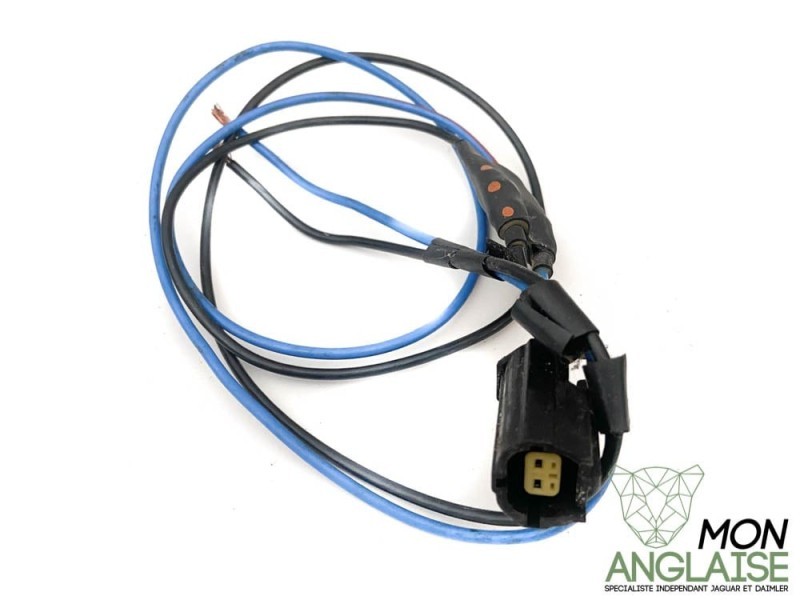 Faisceau de protection de pompe a carburant abimé Jaguar XJ40 1991-1994 | DBC6139K