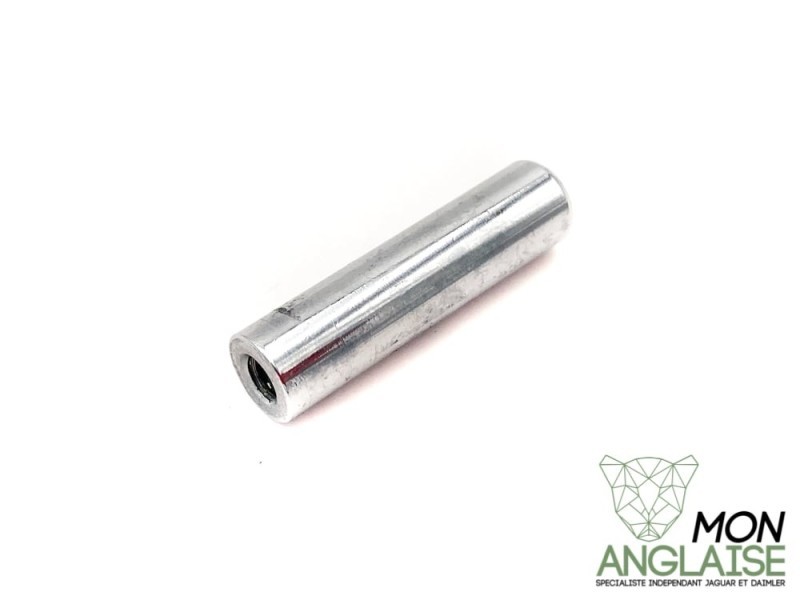 Bouton de déverrouillage de portière Jaguar X300 1995-1997 | GNA111TIGE