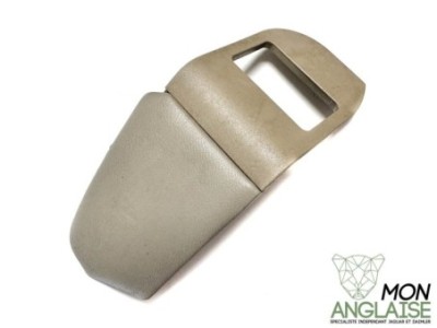 Finition d'interrupteur avant droite LHD parchemin Jaguar X300 1995-1997 | GNA1322BAHEZ