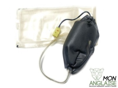 Système de réglage lombaire à air Jaguar XJ8 1998-2002 | GNF4776AA