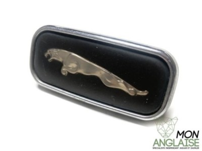 Badge d'aile Jaguar Jaguar XJ8 de 1998 à 2002 Référence OE : HNC5771AC