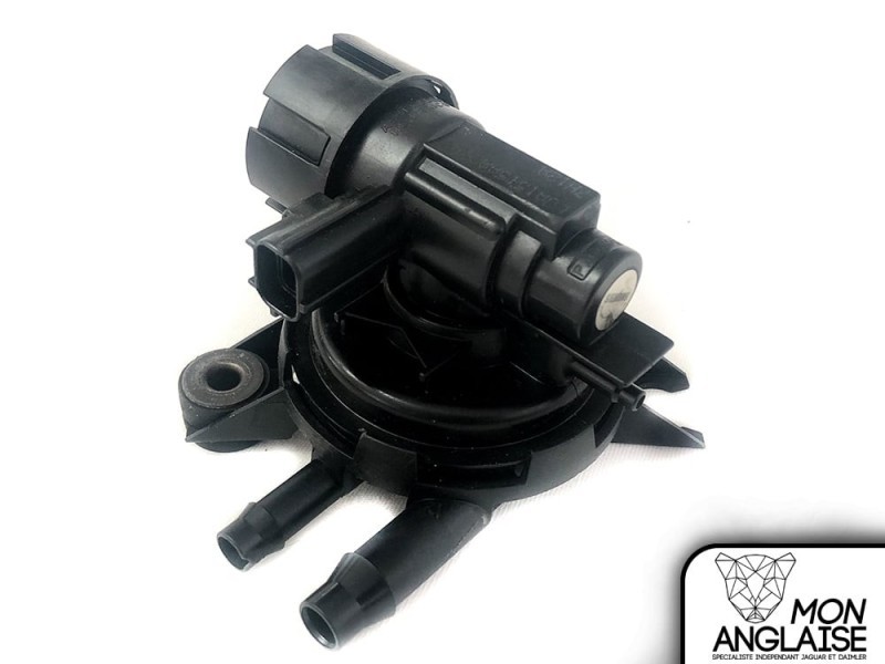 Soupape de contrôle de purge Jaguar XK8 1996-1998 | LJA1515AA