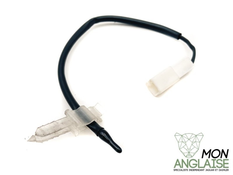 Thermistor de sortie évaporateur Jaguar XK8 1997-2006 | JLM11947