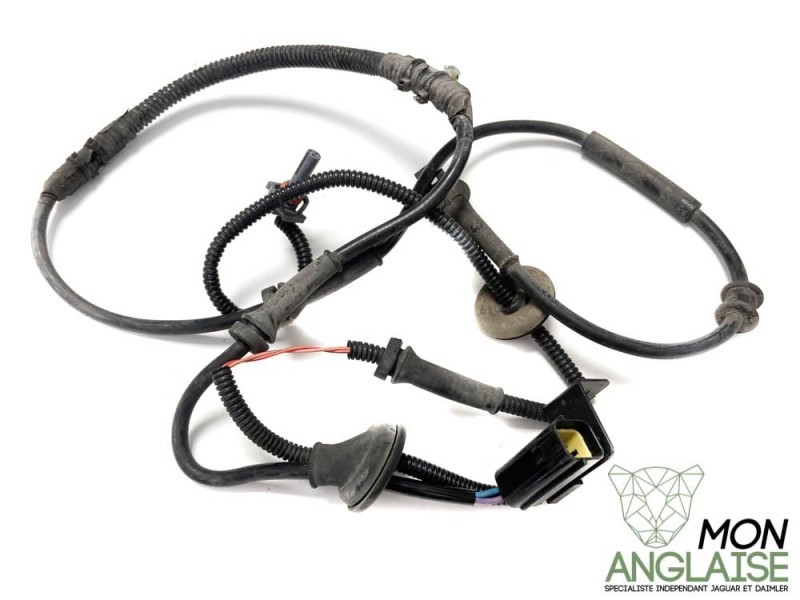 Faisceau ABS arrière avec amortisseurs adaptatifs Jaguar XK8 1996-1997 | LJA3410CF
