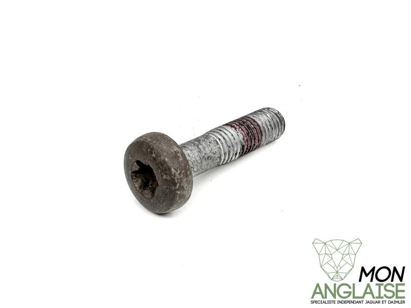 Boulon d'amortisseur avant Jaguar XJ8 1998-2002 | JFB11011E