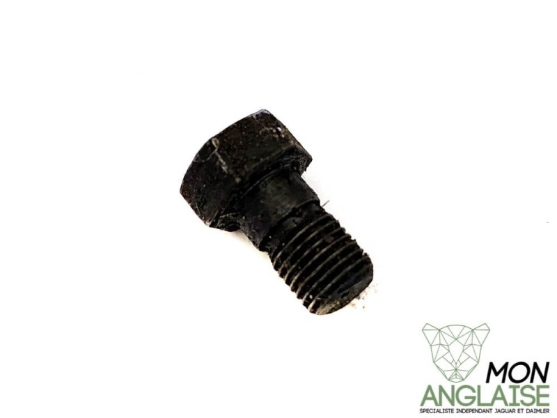 Vis d'arrêt arbre à came Jaguar XJ Série 3 1978-1992 | JZB100042