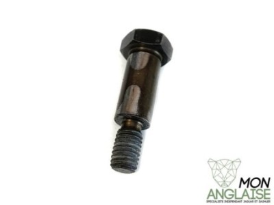 Boulon de lame tendeur de chaîne de distribution Jaguar XJ8 1998-2002 | NCA2028AA